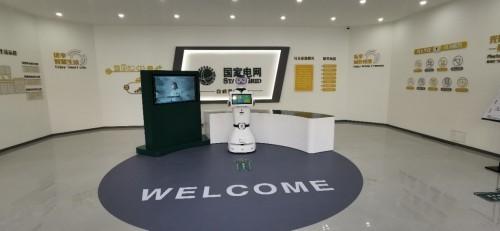 使用电网2022世界杯买球入口营业厅机器人是一种什么样的体验
