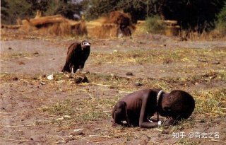 还2022世界杯买球入口记得饥饿的苏丹吗摄影师成饥饿的女孩日本记者就是秃鹫